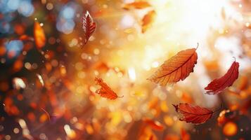 Falling Autumn Leaves In A Sunlit Forest photo