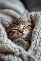 A cozy kitten nestled in a warm blanket during a quiet afternoon nap photo