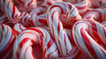 Close Up of Red And White Candy Canes photo
