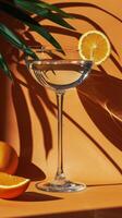 Glass of White Wine With Orange Slice photo