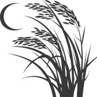 Silhouette of grass with moon vector
