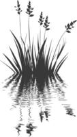 Silhouette of grass and water on a white background vector