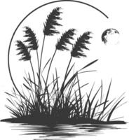 A black and white drawing of reeds and moon vector