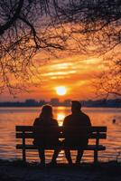 Couple enjoying a sunset while sitting on a bench in a peaceful park during autumn evening photo