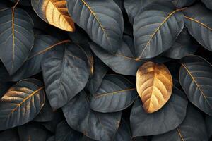 Textured dark leaves with golden veins showcasing autumn beauty in a close up view photo