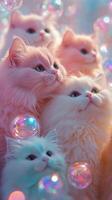 Group of fluffy kittens gazing upwards among colorful bubbles in a soft light setting photo