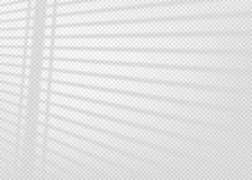 Shadow overlay effect for photo and mockup. Realistic soft blurred shadow of window blinds on light background. illustration of wall with natural sunlight coming in through the jalousie vector