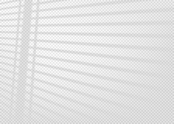 Shadow overlay effect for photo and mockup. Realistic soft blurred shadow of window blinds on light background. illustration of wall with natural sunlight coming in through the jalousie