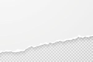 Realistic illustration of a ripped paper edge. Torn half sheet piece with soft shadow and place for text or image. template for banner, header, advertisement design. vector
