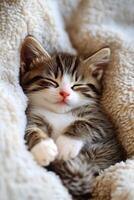 A cozy kitten nestled in a warm blanket during a quiet afternoon nap photo