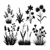 A collection of plants with different flowers shilhouette design vector