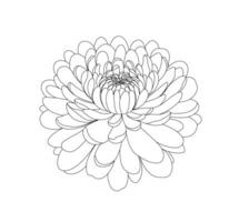 Minimalist line art illustration of a flower. Simple and elegant, ideal for botanical art, coloring pages, or floral decor. Line art chrysanthemum. vector