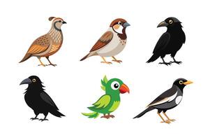 Bird 6 bundle bird set with white background vector