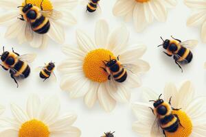 Bees busy pollinating daisies on a sunny day in a flower garden during spring season photo