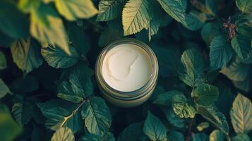 Natural skincare product placed among vibrant green leaves in a tranquil outdoor setting photo