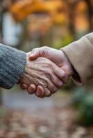 Two hands shaking in a peaceful outdoor setting during autumn afternoons photo