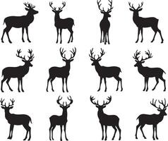 A collection of twelve deer silhouettes in black, depicted in various poses, standing against a white background. vector