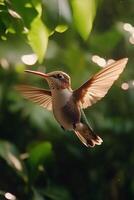 A hummingbird hovers delicately in a vibrant green garden during a sunny afternoon photo