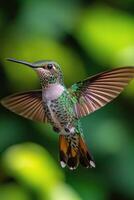 A hummingbird hovers delicately in a vibrant green garden during a sunny afternoon photo