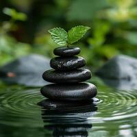 Stacked black stones with green leaves in calm water creating a serene atmosphere photo