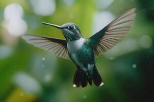 A hummingbird hovering gracefully among plants in a serene aquatic environment in daylight photo