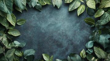 Green leaves surrounding a textured teal background in a natural setting for decoration photo