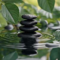 Stacked black stones with green leaves in calm water creating a serene atmosphere photo