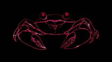 Neon frame effect, Crab crab with big claws and a cheeky grin on black background video