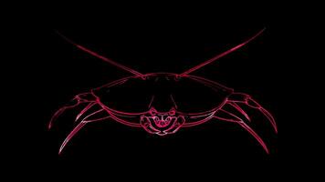 Neon frame effect, Crab crab with big claws and a cheeky grin on black background video