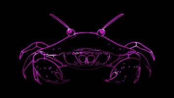 Neon frame effect, Crab crab with big claws and a cheeky grin on black background video