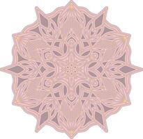 mandala pattern with natural art inside vector