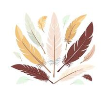 Brown and Cream Feathers vector