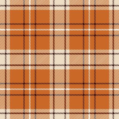 Tartan plaid check pattern texture. Rust fall colors. Seamless pattern. Fall Halloween design. Perfect for textile or print design.