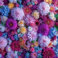 A vibrant array of multicolored flowers arranged beautifully on a floral backdrop photo