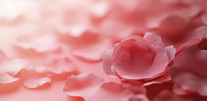 Delicate pink rose petals scattered gently on a soft surface creating a romantic atmosphere photo