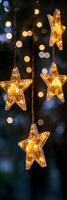 Warm glowing star lights hanging outdoors under a twilight sky surrounded by softly blurred greenery photo