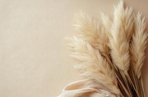 Soft pampas grass arranged elegantly on a light background with flowing fabric in natural tones photo