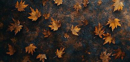 Fall leaves cover the ground in a forest during autumn as nature prepares for winter photo