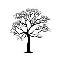 Bare tree isolated on white background vector