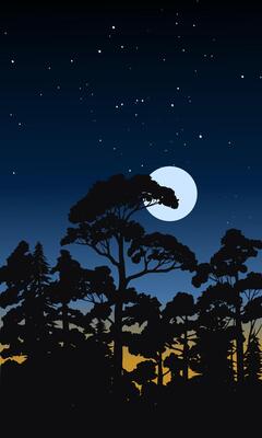 Forest night illustration with full moon and stats
