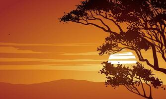 Sunset background with tree bramch silhouette vector