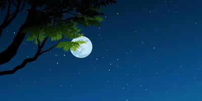 Starry night sky background with tree branch and full moon vector