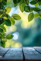 Bright green leaves framing a wooden table with a blurred background in natural light photo