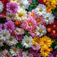 A vibrant array of multicolored flowers arranged beautifully on a floral backdrop photo