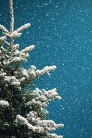 A beautifully decorated Christmas tree with fresh snowflakes and a serene winter backdrop photo