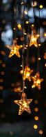 Warm glowing star lights hanging outdoors under a twilight sky surrounded by softly blurred greenery photo