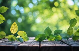 Bright green leaves with bokeh background on wooden surface in a serene outdoor setting photo