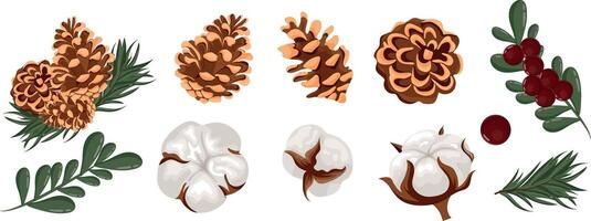 large set of different Christmas plants, namely different cones, conifer twigs and red berries with green leaves, for various packages, posters or cards vector