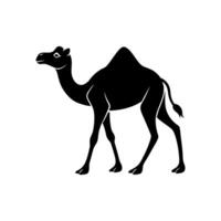 A camel is standing in a black silhouette on a white background vector