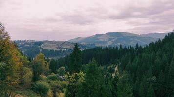Aerial view Scenic Forested Valley with Rolling Hills and Overcast Sky, A scenic view of a forested valley and rolling hills with an overcast sky video
